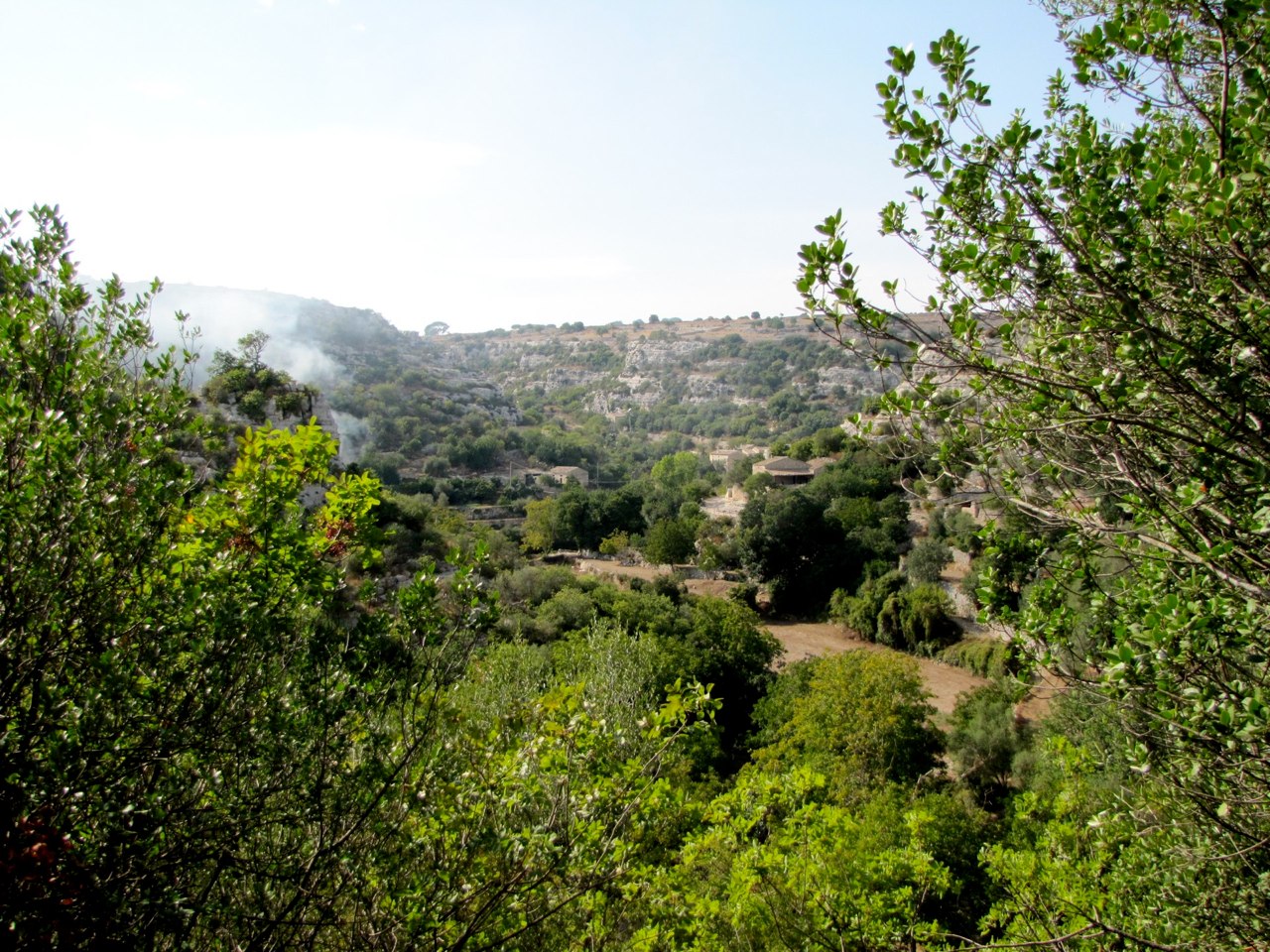 IMG 0706