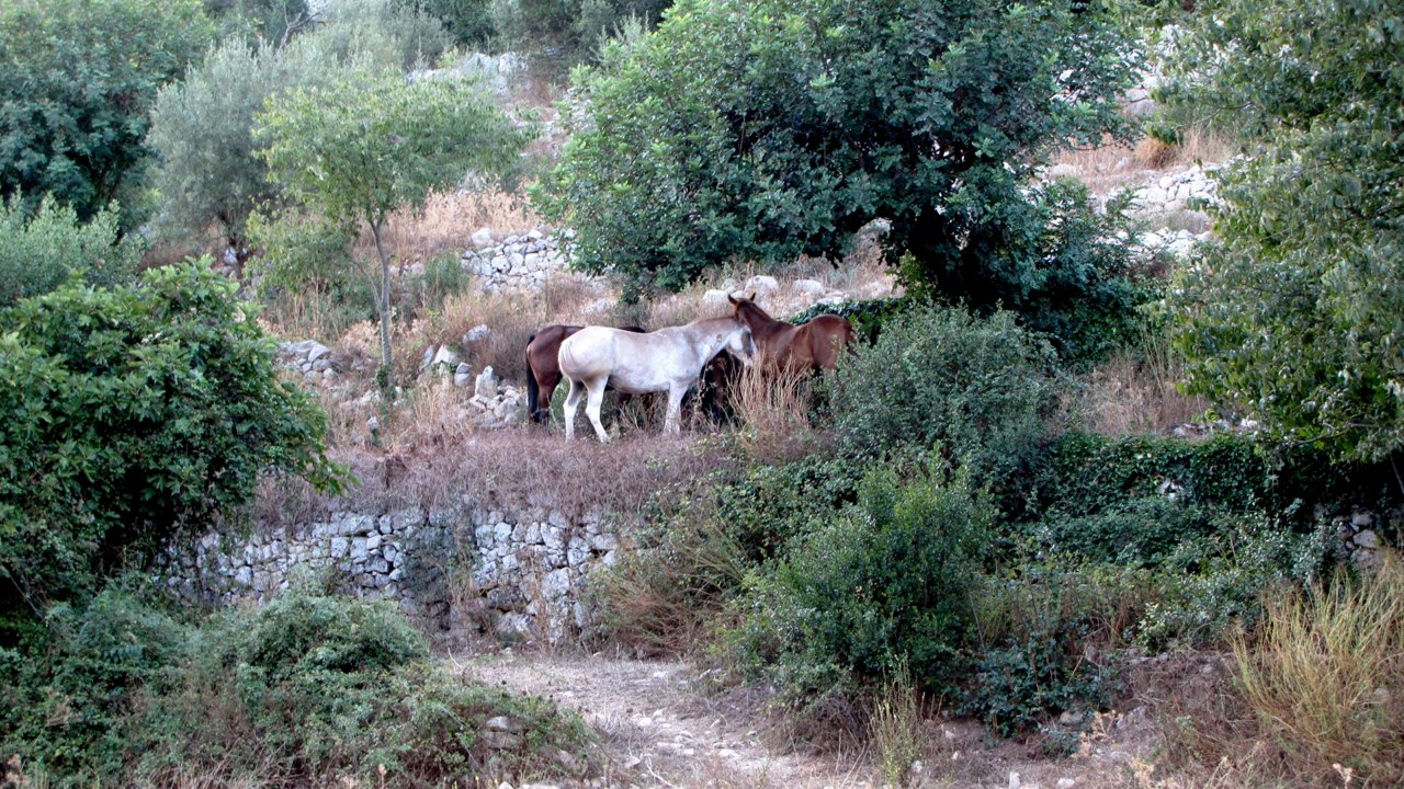 IMG 0791