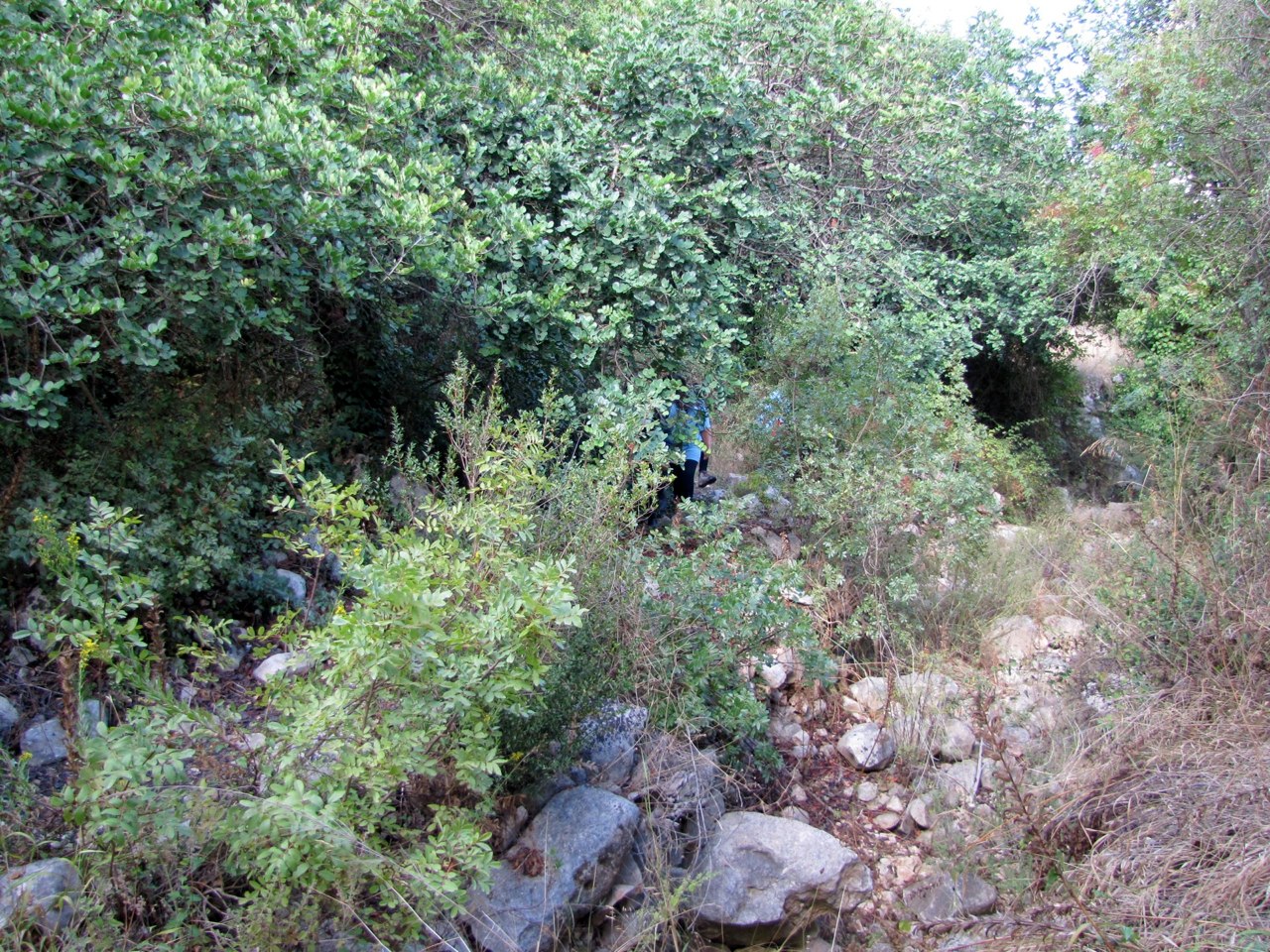 IMG 0835