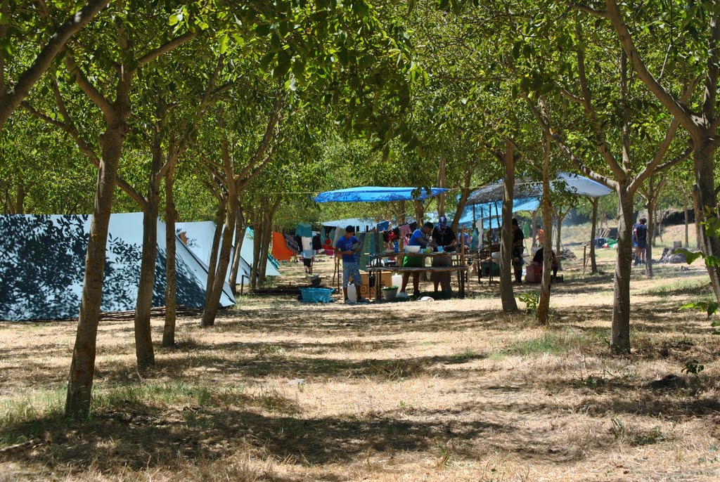 Campo-252520Estivo-252520-252528068-252529 2