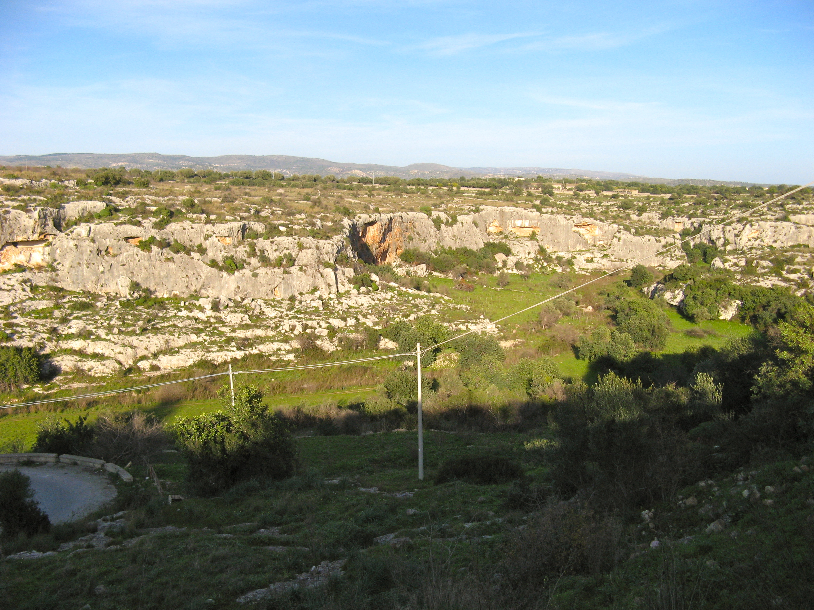 IMG 0094