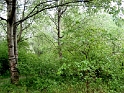 IMG_3318