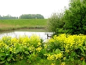 IMG_3337