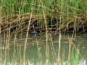 IMG_3348