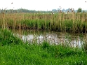 IMG_3349