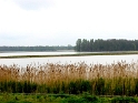 IMG_3394