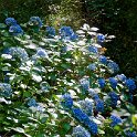 Osservatorio della Biodiversità di Cucullaro