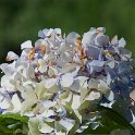 Osservatorio della Biodiversità di Cucullaro
