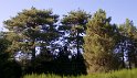 Osservatorio della Biodiversità di Cucullaro
 (2)
