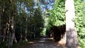 Osservatorio della Biodiversità di Cucullaro
 (8)