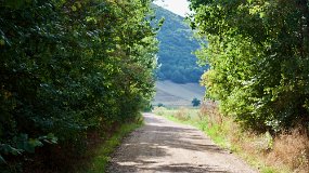 Cammino di San Benedetto - tratto Norcia-Cascia (503)