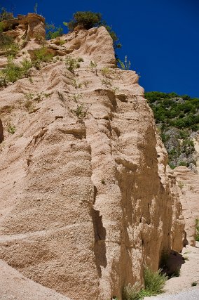 Lame Rosse