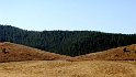 Lago di Ariamacina (3)