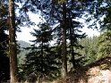 Fossiata - Itinerario 3  (6)