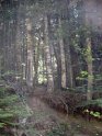 Fossiata - Itinerario 3  (11)
