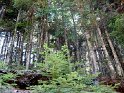Fossiata - Itinerario 3  (13)