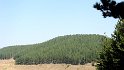 Lago di Ariamacina - Itinerario 11