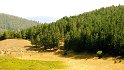Lago di Ariamacina - Itinerario 11 (5)