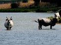 Lago di Ariamacina - Itinerario 11 (12)