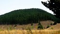 Lago di Ariamacina - Itinerario 11 (17)