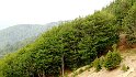 Monte Botte Donato (4)