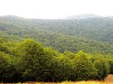 Monte Botte Donato (6)