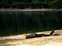 Lago Arvo (10)
