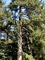 IMG_0317