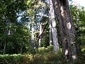 IMG_0321