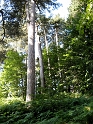 IMG_0322