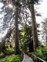 IMG_0323