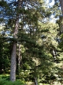 IMG_0325