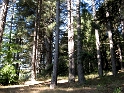 IMG_0329