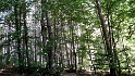 IMG_0348