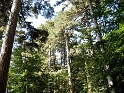 IMG_0349