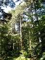 IMG_0350