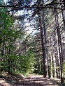 IMG_0359
