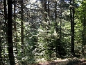 IMG_0360