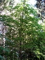 IMG_0365