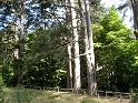 IMG_0366