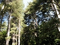 IMG_0367