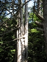 IMG_0368