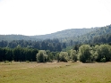 IMG_0374