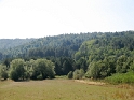 IMG_0375