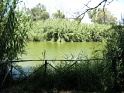 IMG_0278