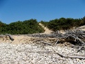 IMG_0305