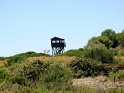 IMG_0333