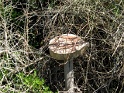 IMG_0361