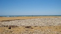 IMG_0385