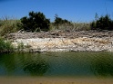 IMG_0388